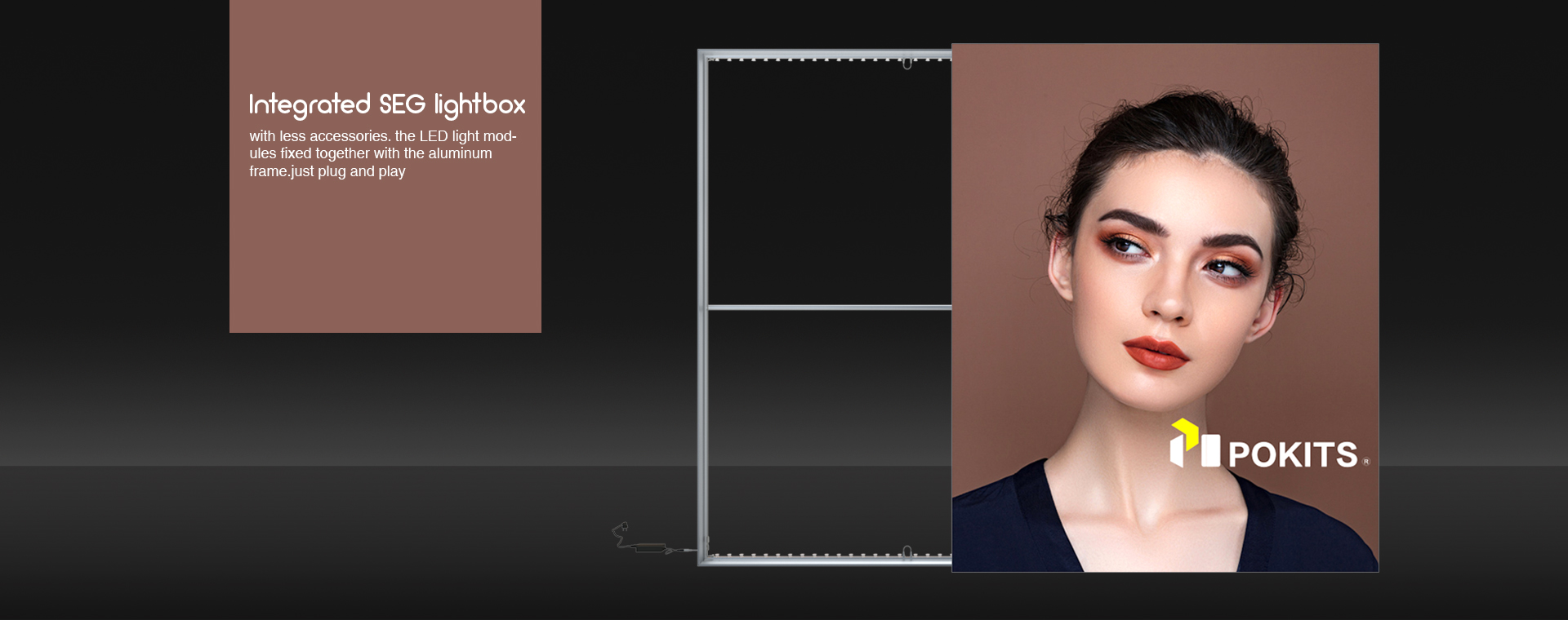 integrated seg lightbox