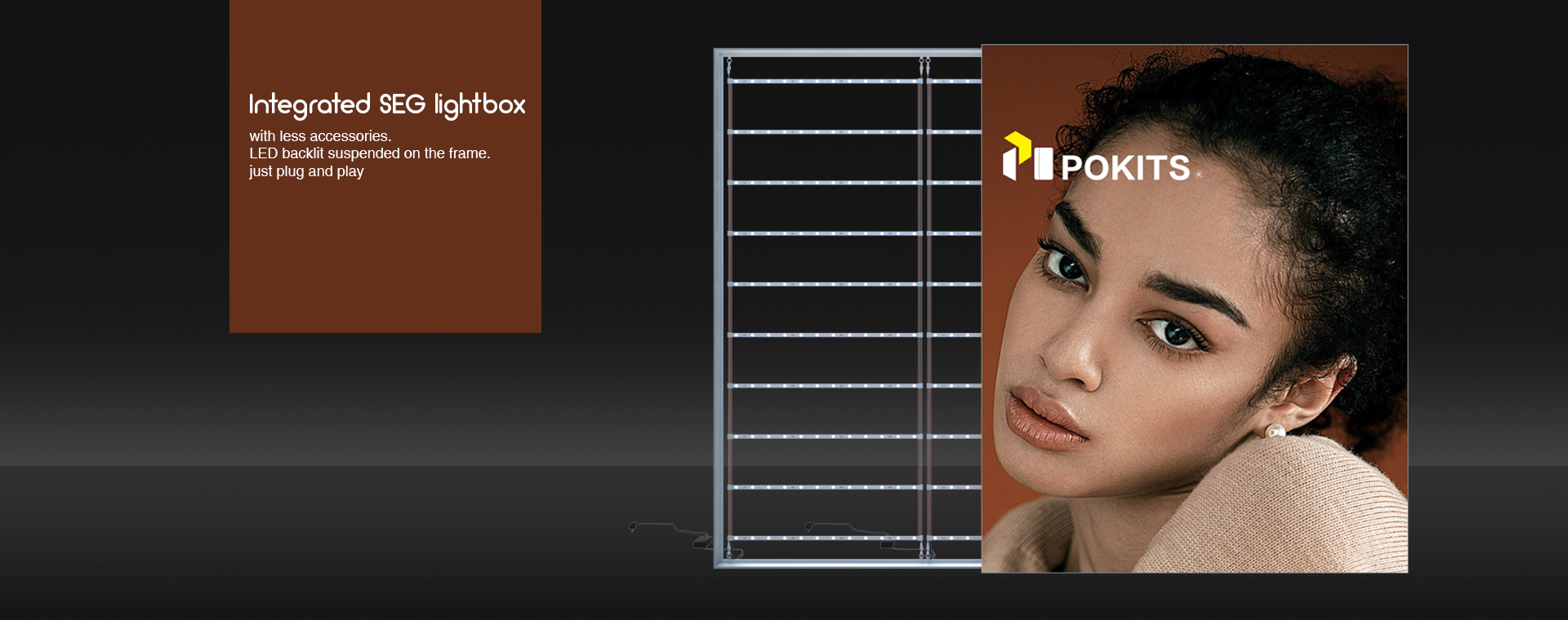 integrated seg lightbox